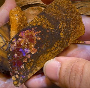 222.7g - 5x Yowah Nut Matrix Rough Slabs. Boulder Opal Parcel BARGAIN - Opal Whisperers