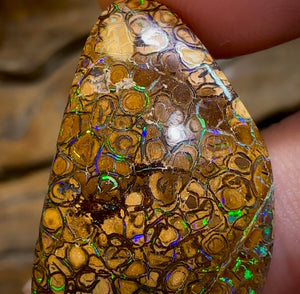 31.4cts - Australian Boulder Opal. Yowah Tribal - Opal Whisperers