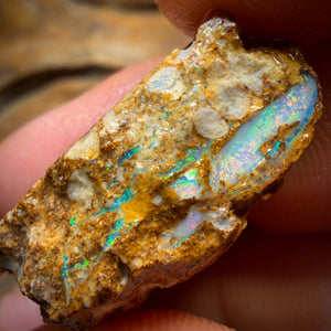 33,1cts - Boulder Pfeifenopal Rohstück. Australischer Opal