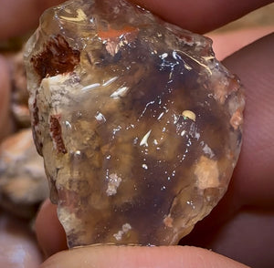 300.5cts - 13x Lightning Ridge Fossil Replacement Opal Rough Parcel Under $2/Ct - Opal Whisperers