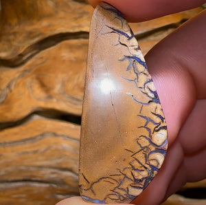 41.1cts - Koroit Nut Opal. Australian Opal - Opal Whisperers