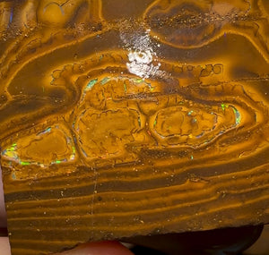 85g - Queensland Boulder Opal Rough Slab Pair - Opal Whisperers