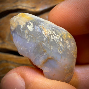 73.8cts - Opalised Shell Geological Specimen from South Australia. Featured on ‘Outback Opal Hunters’!