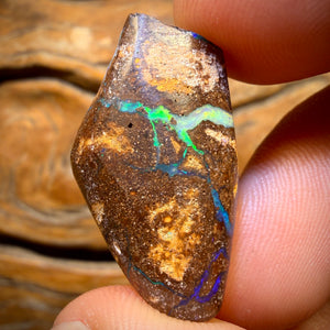34,2 cts - Opale de gisement boulder du Queensland