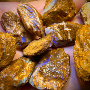 🔒311.5cts - 10x Opalised Wood/Vegetation Fossil Rough Parcel from Yowah