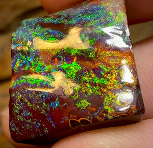 66.2cts - Queensland Boulder Opal from Yowah . Celebrity Stone - Opal Whisperers