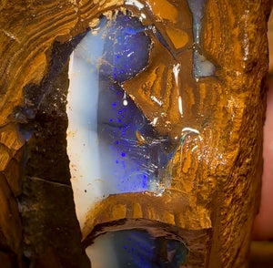 859cts - Pair of Queensland BoulderNatural Split Opal Rough Pieces