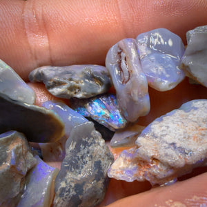 81.9cts - 21x Lightning Ridge Opal Rough Parcel