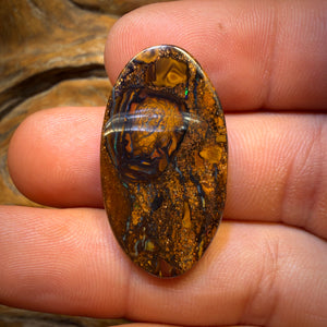 26.7cts - Tribal Queensland Boulder Opal. Australian Opal