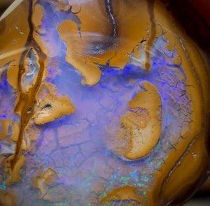 Opalfest WildCard 60 %OFF 9.9cts - Yowah Nut Opal. Australian Boulder Opal