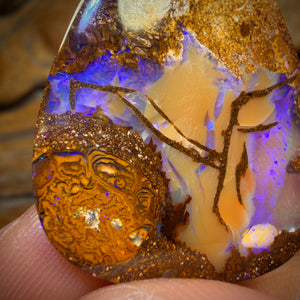 31.6cts - Top Australian Boulder Pipe Opal Picture Stone from Yowah