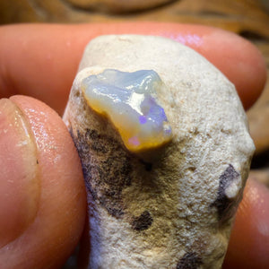 217.1cts - 3x Lightning Ridge Opal Rough Parcel