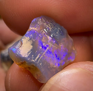 🔨 AUCTION 🔨 58.9cts - 12x Opalised Fossil Geological Specimens from Lightning Ridge