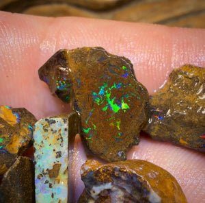 🔒107,8 ct - 11 australische Boulderopal-Rohlinge