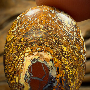 29.7cts - Tribal Queensland Boulder Opal from Yowah