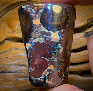 585.5cts - Tribal Koroit Nut Opal. Polished Specimen