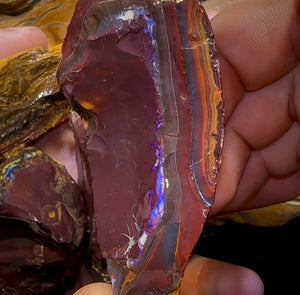 400.4g- 5x Large Queensland Boulder Opal Rough Pieces - Opal Whisperers