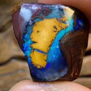 HDW 38.3cts - Partial Yowah Nut Crystal Centre Opal Rough Piece