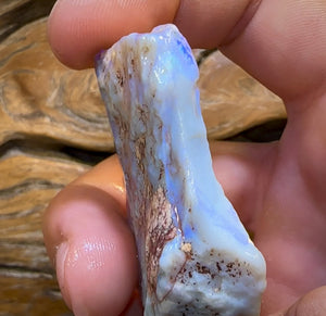 115.5cts - Lightning Ridge Opal Rough Piece. ISAACS CHOICE