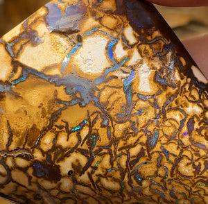 220cts - Rare White Tribal Yowah Nut Opal Specimen Polished - Opal Whisperers