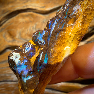 285cts - Yowah Opal Rohstück. Biskuitband