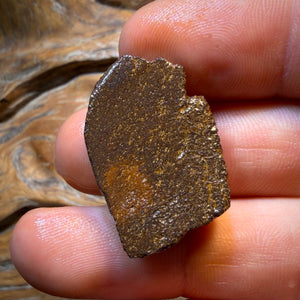Dad Card! 39.4cts - Queensland Boulder Seam Opal Rough Piece. Natural Split