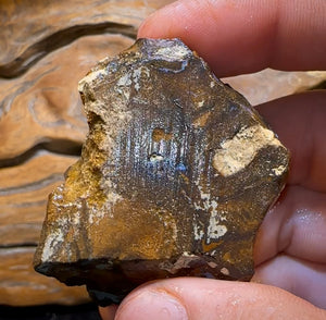 302.9cts - Queensland Boulder Seam Opal Rough Specimen - Opal Whisperers