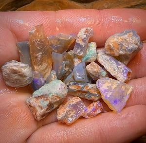 80.1cts - 24x Opalised Fossil Geological Specimens from Lightning Ridge