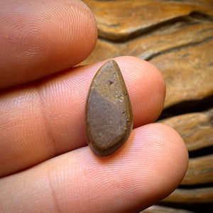 Bargain Card! 3.9cts - Australian Boulder Opal Doublet