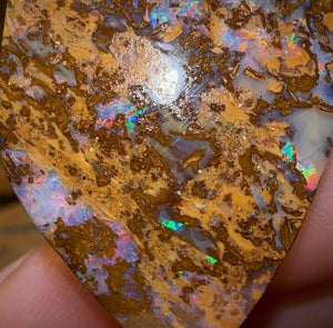65.3cts - Large Australian Boulder Wood Fossil Opal Multicolour - Opal Whisperers