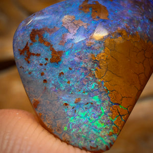 🔨 AUCTION 🔨 29cts - Australian Boulder Opal from Yowah