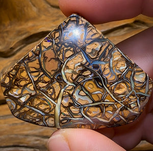 113.1cts - Top Tribal Magic Koroit Nut Australian Opal. - Opal Whisperers