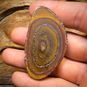 139.6cts - Large Tribal Boulder Opal from Yowah