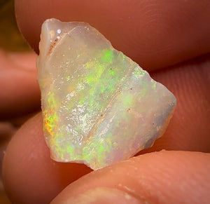 72.8cts - 5x Opalised Shell Geological Specimens from Lightning Ridge