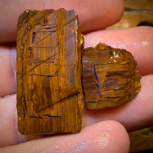 58.5cts - Opalised Wood/Vegetation Fossil Rough Pair from Yowah