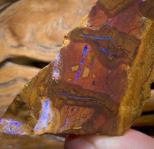260cts - Queensland Boulder Opal Rough Piece