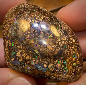 243.8cts - Rare Polished Tribal Yowah Nut Opal Geological Specimen with Gypsum