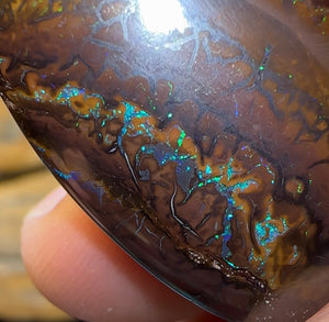 32.4cts - Queensland Boulder Opal - Opal Whisperers