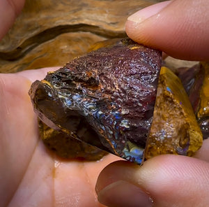 5x Medium Queensland Boulder Opal Potch, Pattern and Colour Rough. BULK LISTING - Opal Whisperers