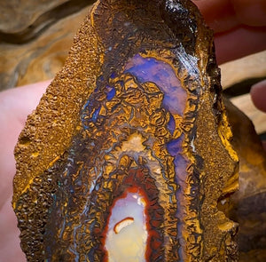 495.1cts - Yowah Nut Rough Specimen Pair. Australian Boulder Opal - Opal Whisperers