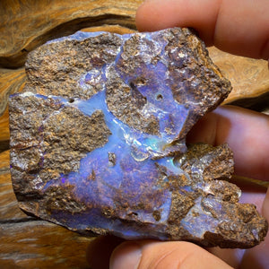 776cts - Queensland Boulder Seam Opal Rough Piece