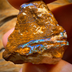 92.1cts - Vegetation Fossil Replacement Boulder Opal Rough Piece