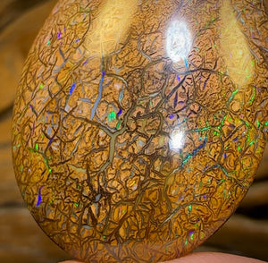 61.7cts - Tight Tan Tribal Yowah Nut Opal. Australian Opal