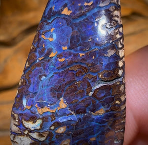 41.1cts - Koroit Nut Opal. Australian Opal - Opal Whisperers