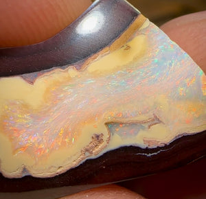 38.7cts - 2 Kernel Fish Yowah Nut Crystal Centre Pair. Heritage Collection - Opal Whisperers