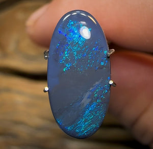 2.7cts - Solid Lightning Ridge Black Opal - Opal Whisperers