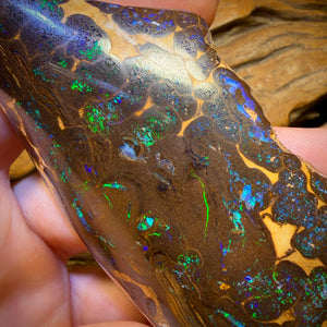 620.5cts - Massive Queensland Boulder Opal Polished Specimen. Bubble Band