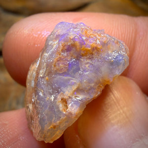 Bargain Card! 19.8cts - Opalised Shell Geological Specimen from South Australia