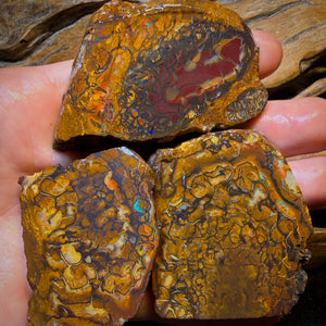 794cts - 3x Yowah Nut Tribal Opal Rough Parcel. Australian Boulder Opal