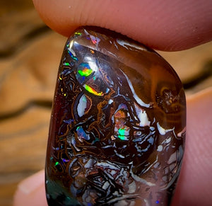 34.2cts - Tribal Koroit Nut. Dark Ironstone Bargain Black Boulder - Opal Whisperers